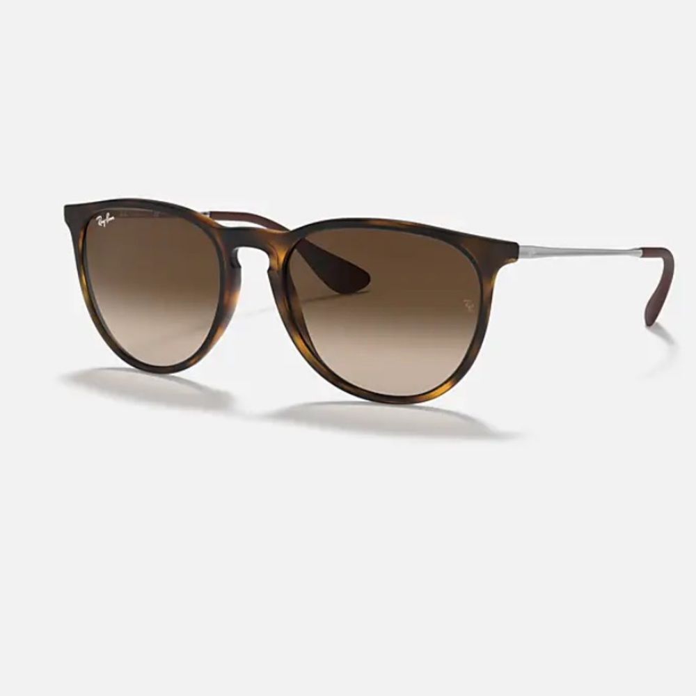 Ray ban Erika sunglasses